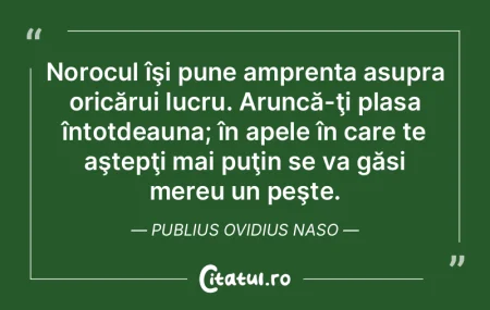 Nu poţi traversa marea nefăcând altce...