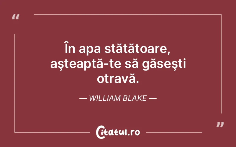 Citat William Blake - citate viata