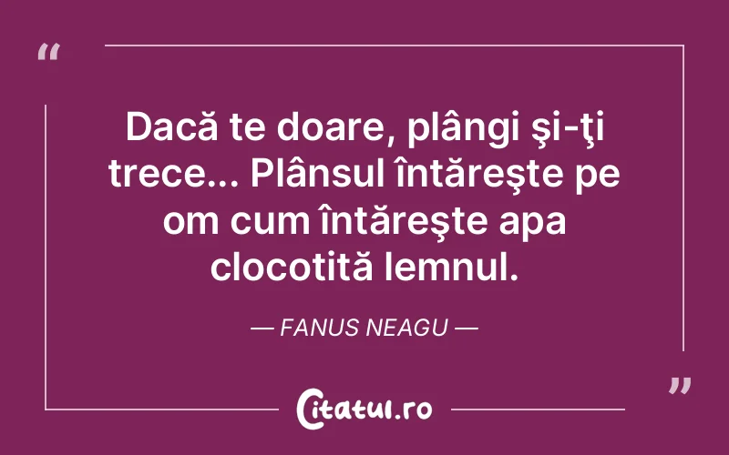 Dacă te doare, plângi şi-ţi trece... Plânsul întăreşte pe om cum întăreşte apa clocotită lemnul. Fanus Neagu