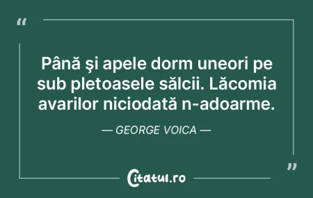 Sunetul pe care-l scoate apa e sunetul t...