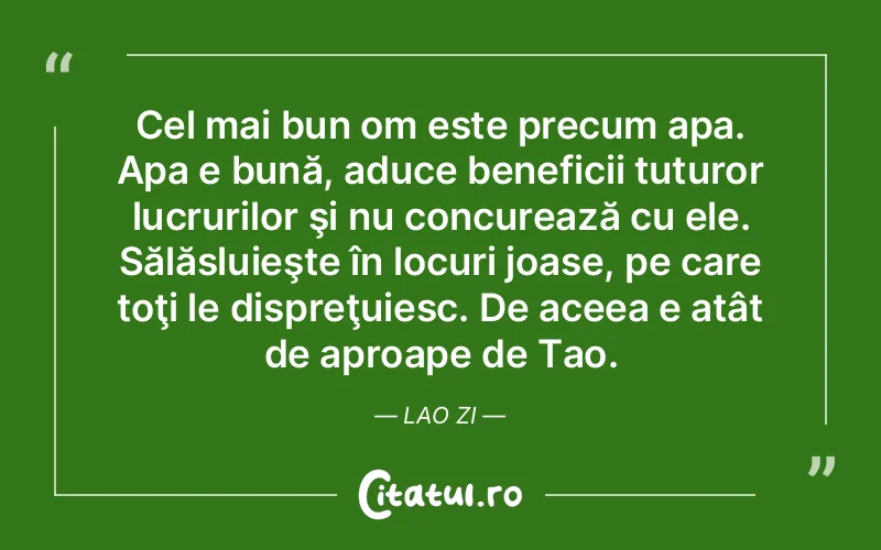 Citat Autor necunoscut - citate viata