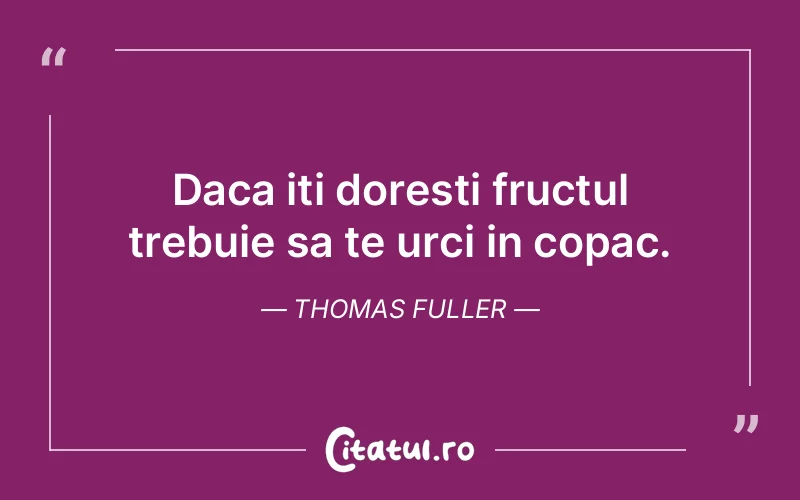 Citat Thomas Fuller - citate viata