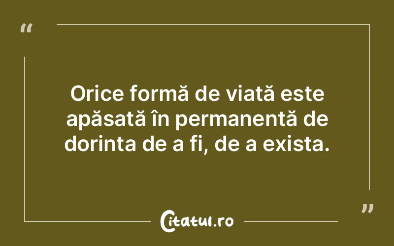 Citat Autor necunoscut - citate viata