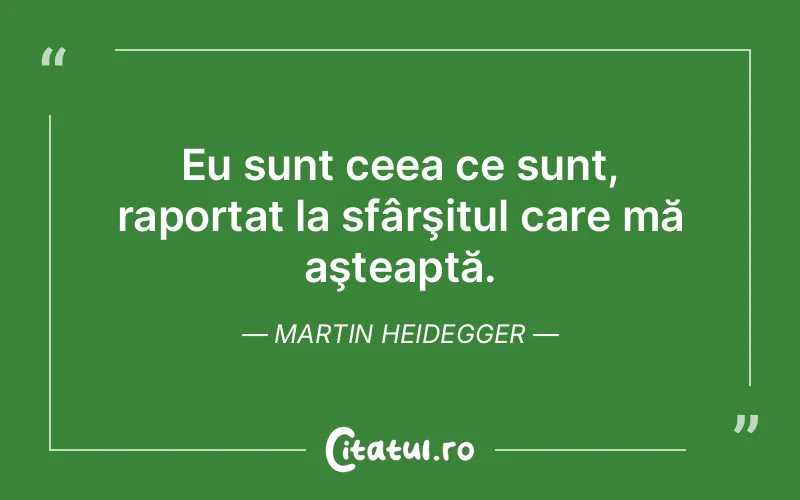 Citat Martin Heidegger - citate viata