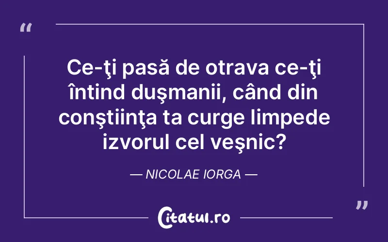 Citat Nicolae Iorga - citate viata