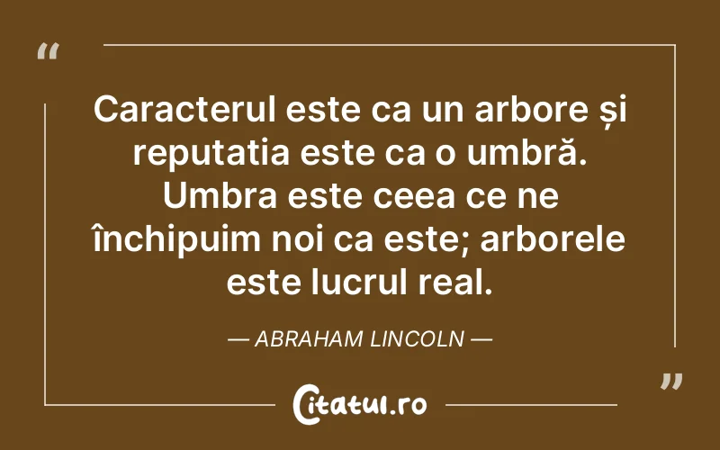 Citat Abraham Lincoln - citate viata