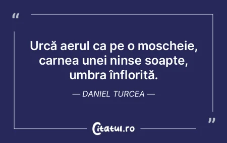 În mine rugăciunile tac, umbra îşi m... În mine rugăciunile tac, umbra îşi m...