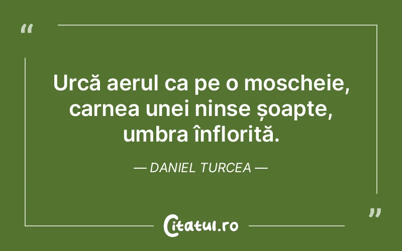 Citat Daniel Turcea - citate viata
