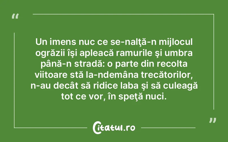 Citat Autor necunoscut - citate viata