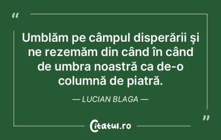 Putem străluci în fiecare zi sau putem... Putem străluci în fiecare zi sau putem...
