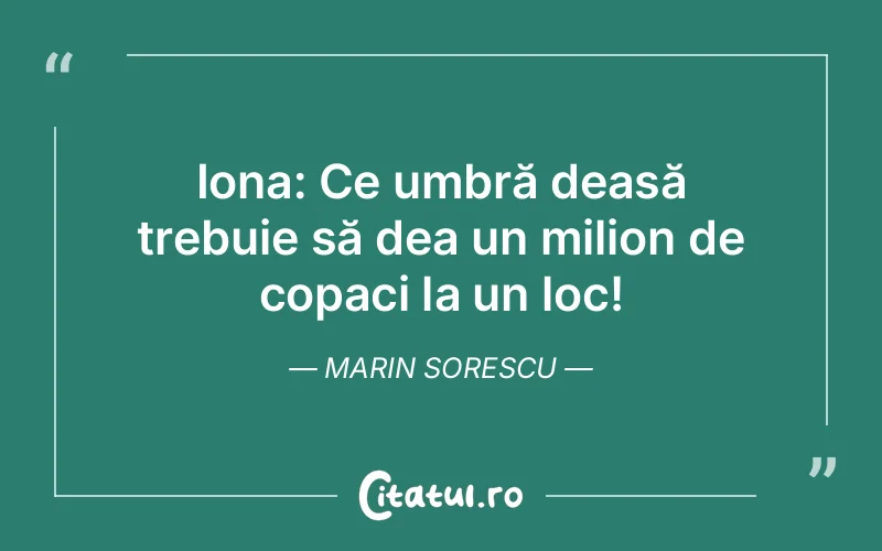 Citat Marin Sorescu - citate viata