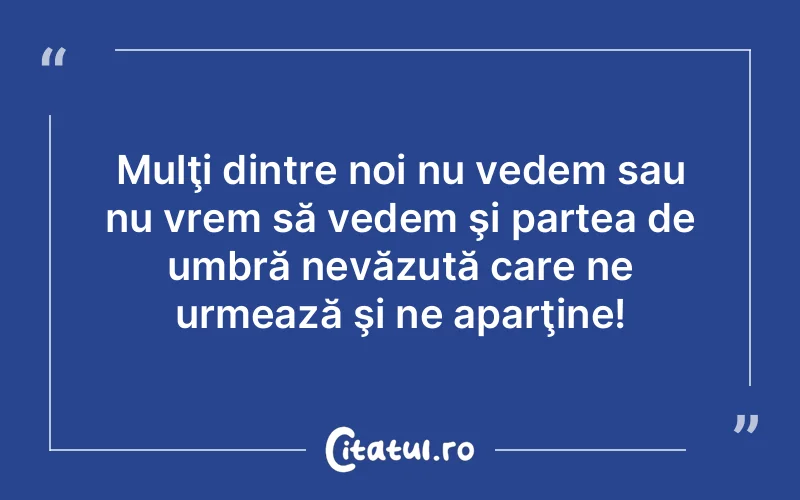 Mulţi dintre noi nu vedem sau nu vrem să vedem şi partea de umbră nevăzută care ne urmează şi ne aparţine!
