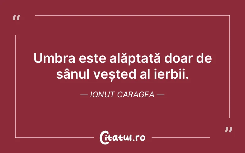 Umbra este alăptată doar de sânul veșted al ierbii. Ionut Caragea
