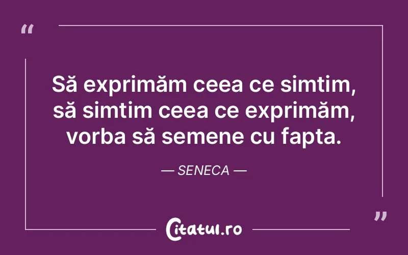 Citat Seneca - citate viata
