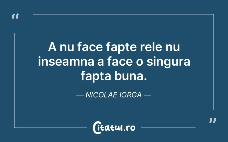 Citat Nicolae Iorga - citate viata