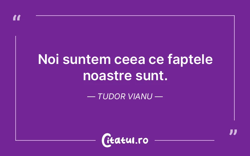 Citat Tudor Vianu - citate viata