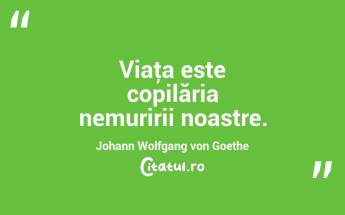 Viaţa este copilăria nemuririi noastre. Johann Wolfgang von Goethe...
