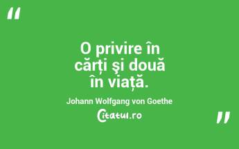 O privire în cărţi şi două în viaţă. Johann Wolfgang von Goethe...
