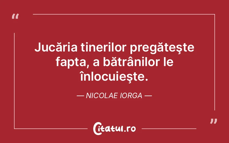 Citat Nicolae Iorga - citate viata