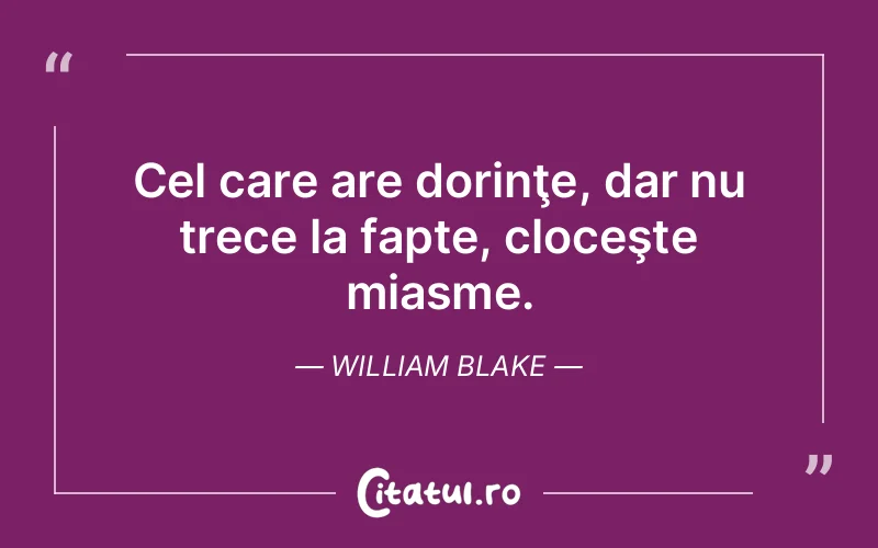 Citat William Blake - citate viata