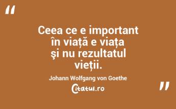 Ceea ce e important în viaţă e viaţa şi nu rezultatul vieţii. Johann Wolfgang von Goethe...