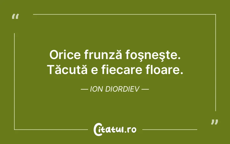 Citat Ion Diordiev - citate viata