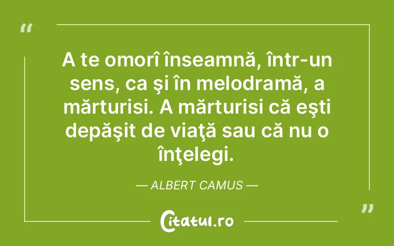 Citat Albert Camus - citate viata