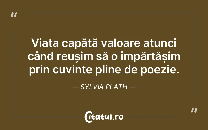 Citat Sylvia Plath - citate viata