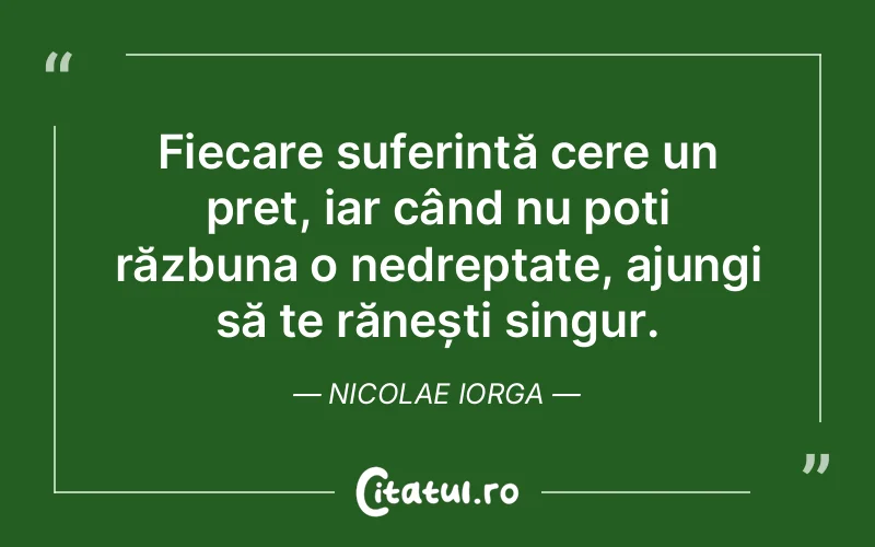 Citat Nicolae Iorga - citate viata