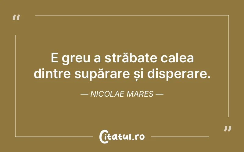Citat Nicolae Mares - citate viata