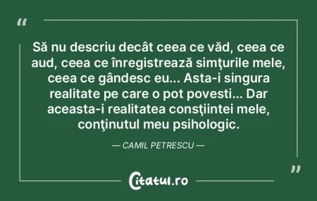 Pictorul pictează ce vede el, şi nu re... Pictorul pictează ce vede el, şi nu re...