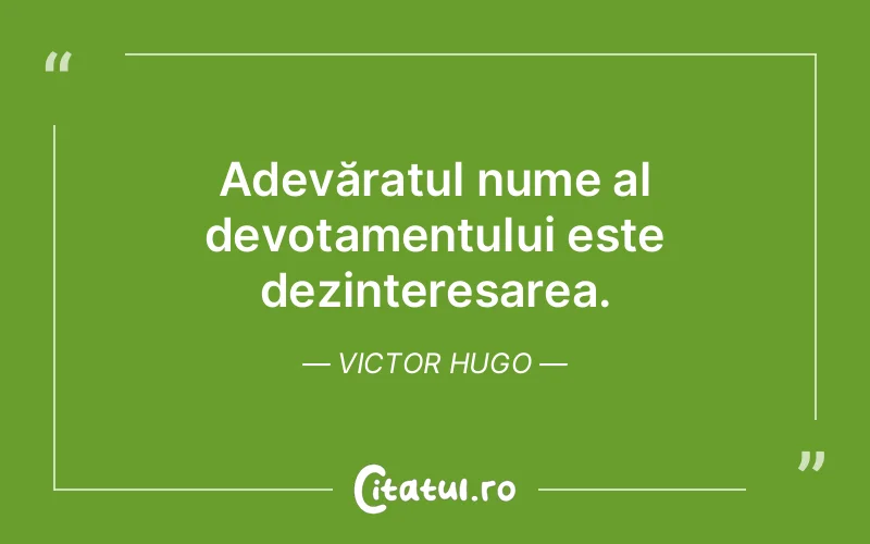 Citat Victor Hugo - citate viata