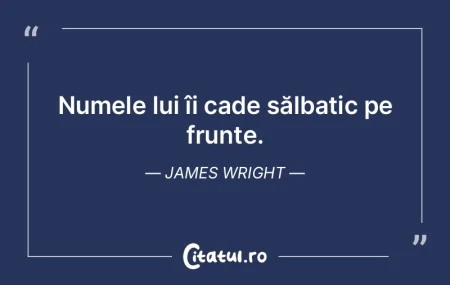 Eu sunt scriitor, sunt un om care spune ... Eu sunt scriitor, sunt un om care spune ...