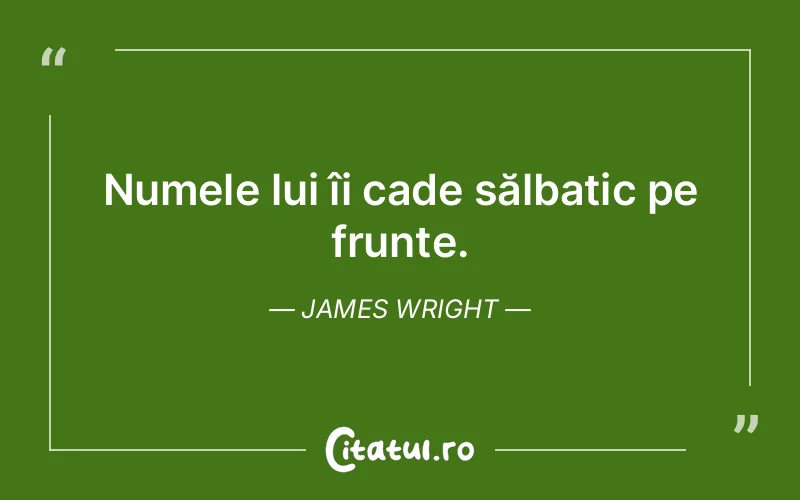 Citat James Wright - citate viata