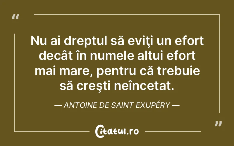 Citat Autor necunoscut - citate viata