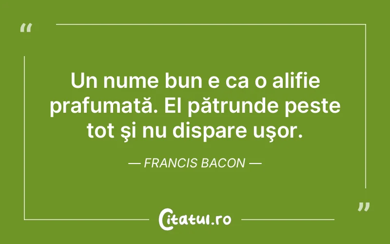 Citat Francis Bacon - citate viata
