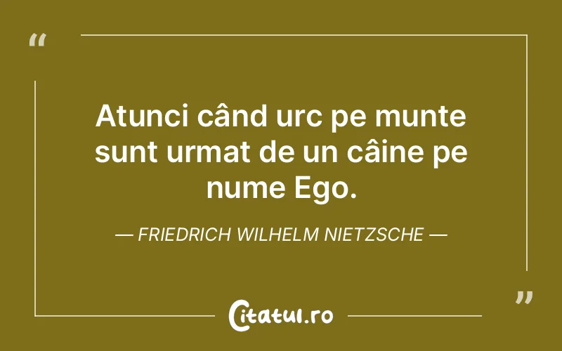 Citat Friedrich Wilhelm Nietzsche - citate viata