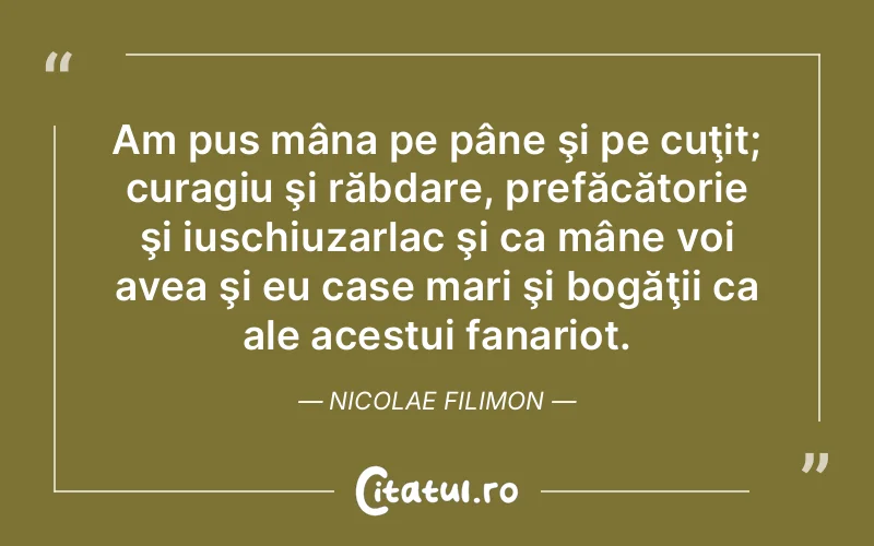 Citat Nicolae Filimon - citate viata