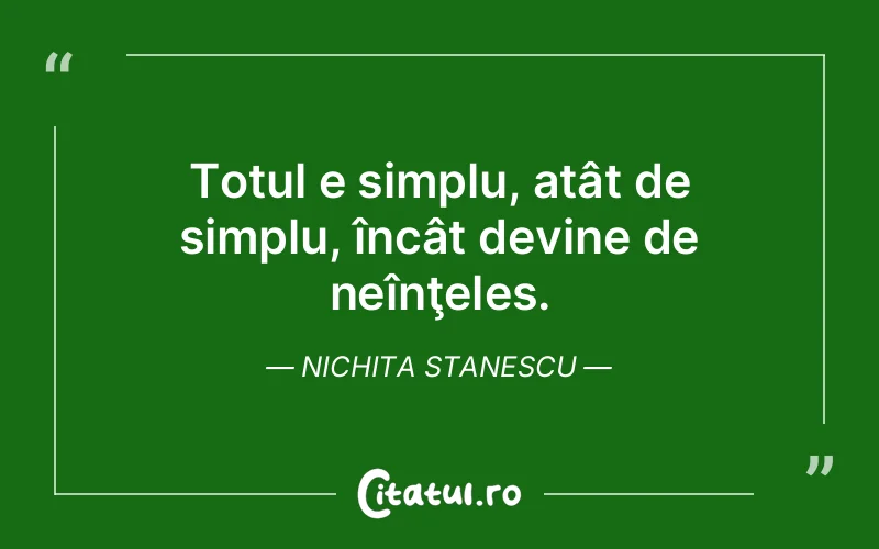 Citat Nichita Stanescu - citate viata