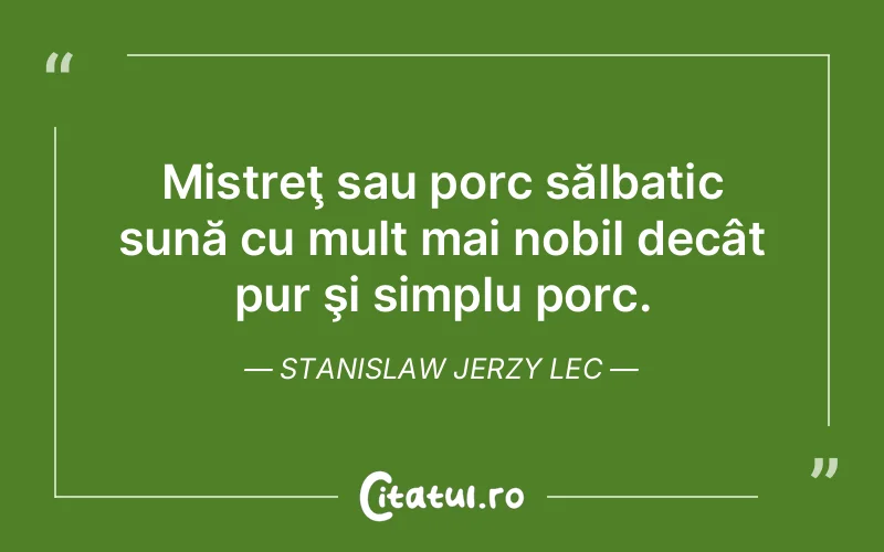 Citat Stanislaw Jerzy Lec - citate viata