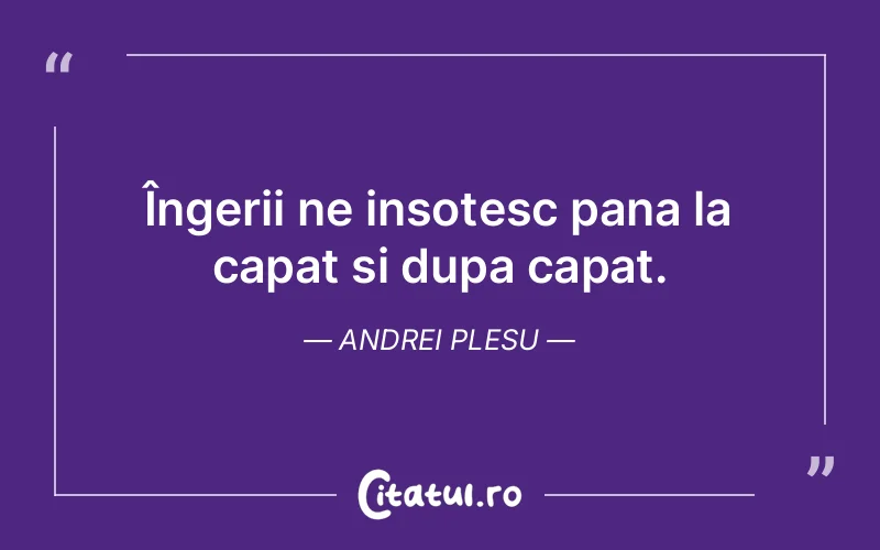 Citat Andrei Plesu - citate viata