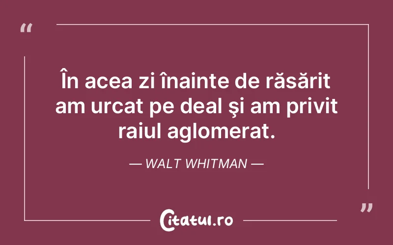 Citat Walt Whitman - citate viata