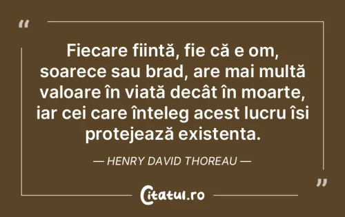 Citat Viață - Citatul.ro