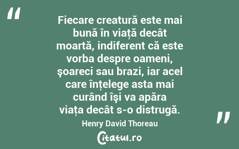 Fiecare creatură este mai bună în viaţă decât moartă, indiferent că este vorba despre oameni, şoareci sau brazi, iar acel care înţelege asta mai curând îşi va apăra viaţa decât s-o distrugă. Henry David Thoreau
