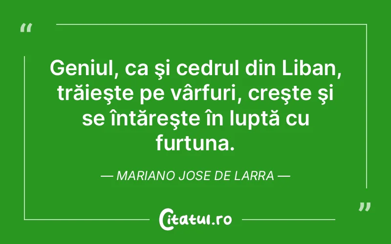 Citat Autor necunoscut - citate viata