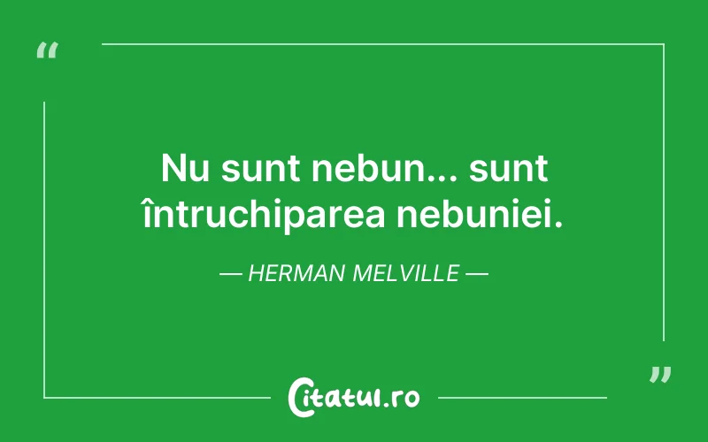 Citat Herman Melville - citate viata