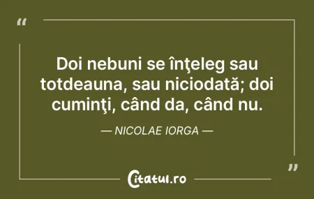 Poetul este un nebun pierdut în aventur...