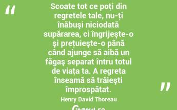 Scoate tot ce poţi din regretele tale, nu-ţi înăbuşi niciodată supărarea, ci îngrijeşte-o şi preţuieşte-o până când ajunge să aibă un făgaş separat întru totul de viaţa ta. A regreta înseamă să trăieşti împrospătat. Henry David Thoreau...