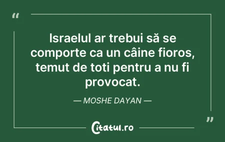 Nebunii sunt îndrăgostiţi sau îndră...