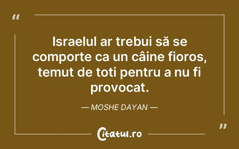 Citat Moshe Dayan - citate viata
